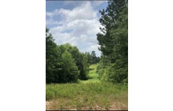 Aster Road, Gilmer, TX 75644