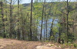 458 County Road 4036, Arley, AL 35541