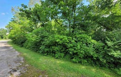 W State Road 18, Delphi, IN 46923
