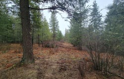 NKA Terry Trail, Priest River, ID 83856