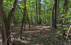 Old Forge Rd, Rocky Mount, VA 24151