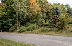 Hill N Dale lot: #7, Hart, MI 49420