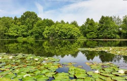19 Competition Drive, Camden, SC 29020