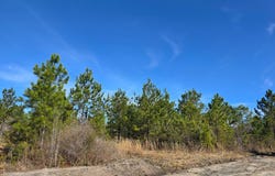 Fender Rd, Naylor, GA 31641