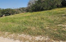 103 Cee Run, Bertram, TX 78605