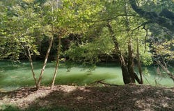6750 Spencer Rd, Rock Island, TN 38581