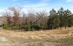 199 Forest Lake Drive, Branson West, MO 65737