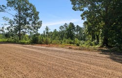 CR 428, PARIS, MS 38949