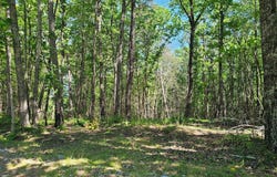 Bluffview Dr, Dunlap, TN 37327