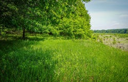 V/L W Johnson Road, Shelby, MI 49455