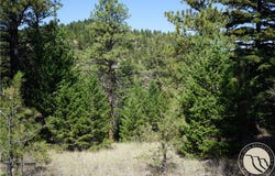 Ridge Crest Lane, MT 59421