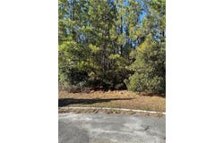 Big Horse Drive, Waynesville, GA 31566