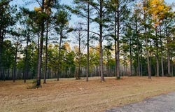 750 Shadow Creek Drive, Camden, AL 36726