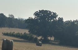 S Corinth Roads, Ash Flat, AR 72513