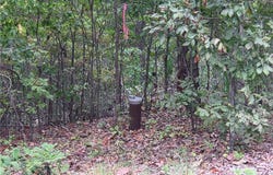 7203 Marion County 6061, Flippin, AR 72634