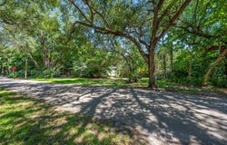 3598 Avocado Ave, Miami, FL 33133