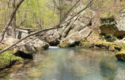 1325 Kahoka Rd, Mountain View, AR 72560