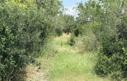 Fm 791, Campbellton, TX 78008
