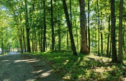 Withrow Landing, Caldwell, WV 24925