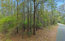 Tom Shivers Rd, Flomaton, AL 36441