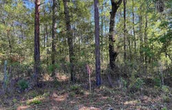 45 Old Federal Highway, Quincy, FL 32351