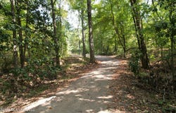 China Grove Road, Vicksburg, MS 39180