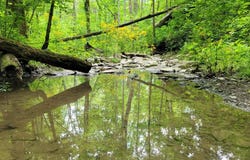 Buckler Rd, Monroe Twp, OH 45157