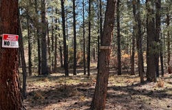 Venado, Chama, NM 87575