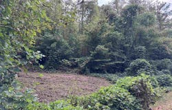 ROBIN LANE lot: 0, DELTA, AL 36258