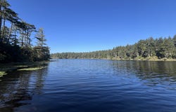 Laurel Rd, Bandon, OR 97411