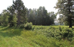 Tract B County Road 1, Emily, MN 56447