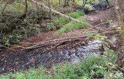 V/L Vein Mountain Road, Nebo, NC 28761