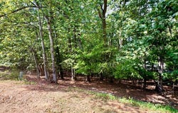 Lot 36 Island Pointe Lane, Moneta, VA 24121