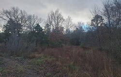 7449 Hwy 270, Boles, AR 72926