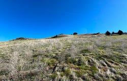 15654 Lake Side Ln, Hornbrook, CA 96044