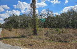 6436 Yam Street, Webster, FL 33597