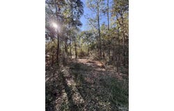 Adams Rd, Crestview, FL 32536