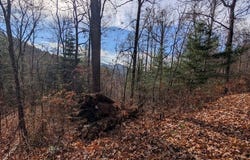 Garnet Road lot: 83, Sylva, NC 28779