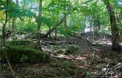 112 Tamarack Road, Beech Mountain, NC 28604