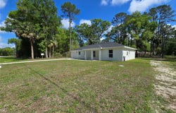 131 FISHER Road, OCKLAWAHA, FL 32179