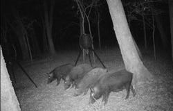 4930 Cr-4509, Commerce, TX 75428