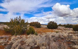 45 Hickory Lane, Concho, AZ 85924