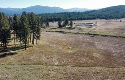 109 Liberty Ln, Santa, ID 83866