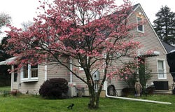 2939 MARNE Highway, MOUNT LAUREL, NJ 08054