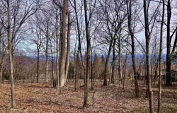 223 May Apple Way, Landrum, SC 29356