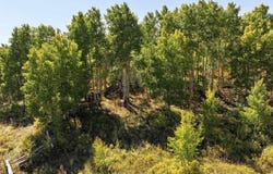 Divide Road, Whitewater, CO 81527