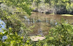 211 Elk Drive, Aiken, SC 29805