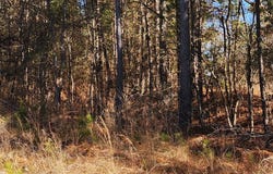 S Sauty Rd County Rd, Guntersville, AL 35755