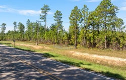HWY 11, Purvis, MS 39475