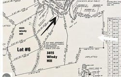 Windy Hill Drive, Bellaire, MI 49615